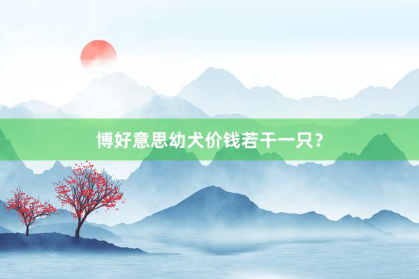 博好意思幼犬价钱若干一只？